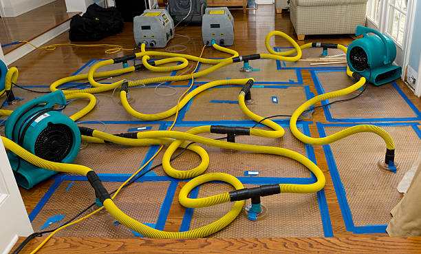 Professional Flood Damage Restoration technician working in South Pasadena, FL